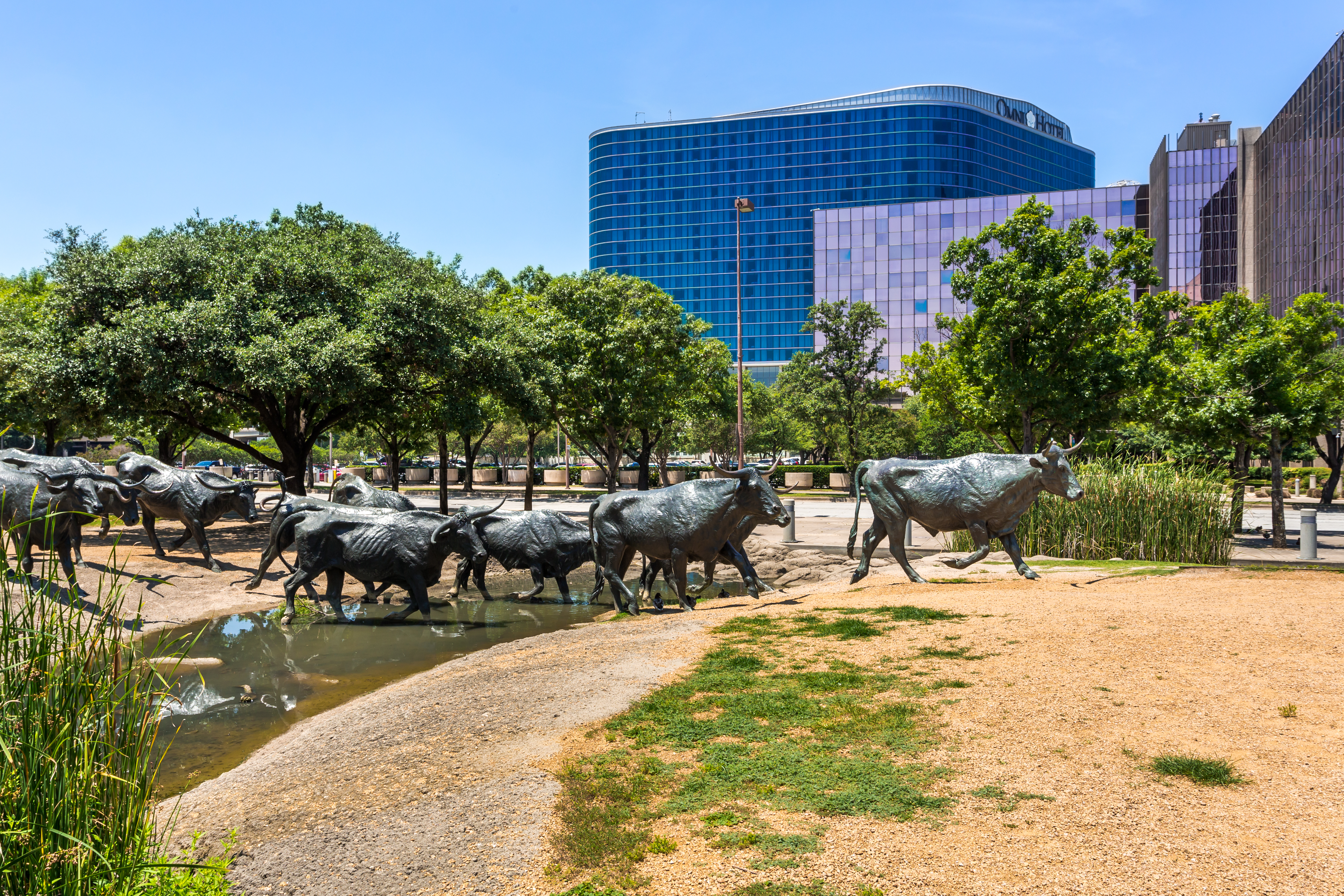 Visit Dallas